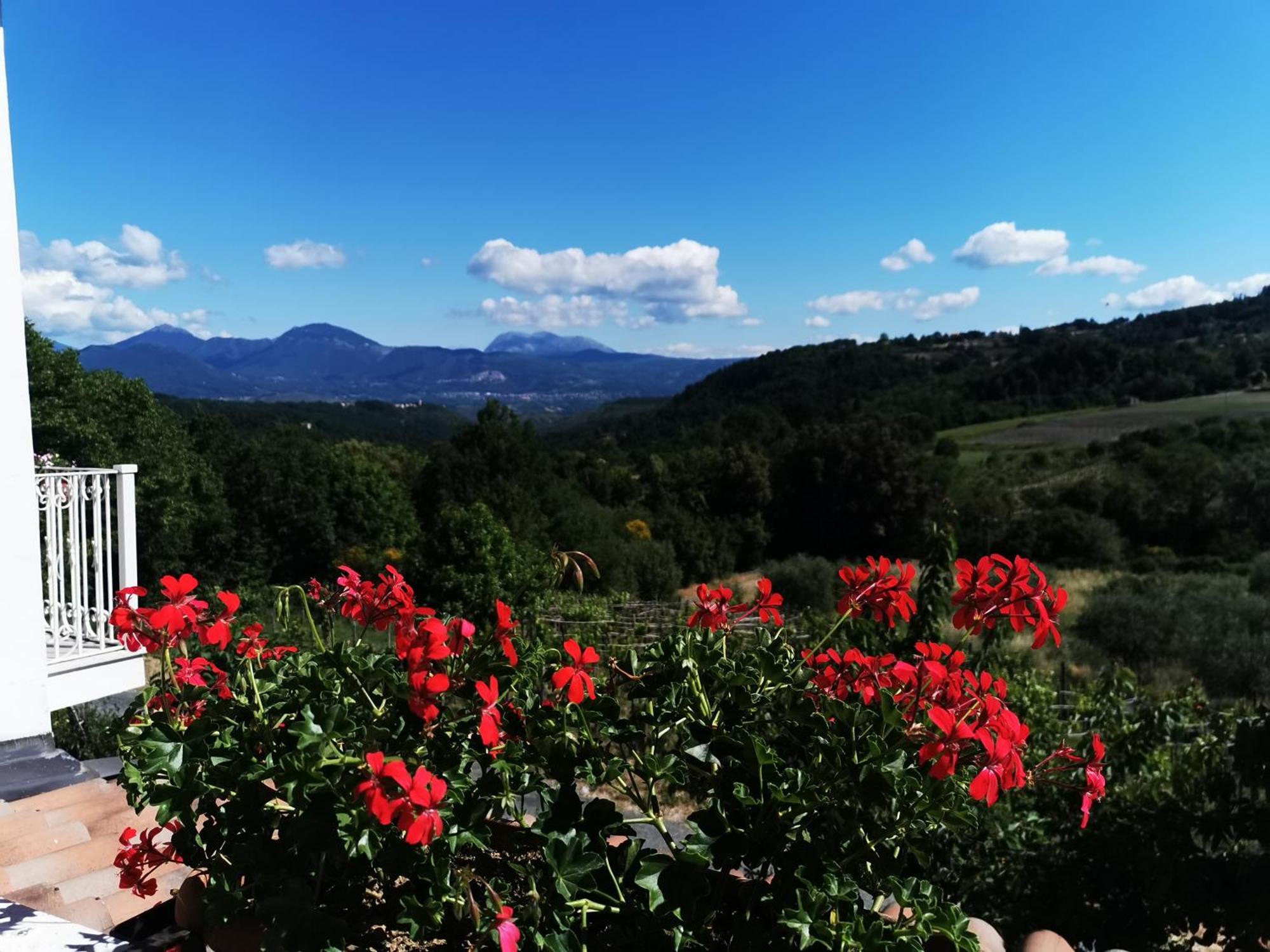 Agriturismo Donna Bianca Mormanno Ngoại thất bức ảnh