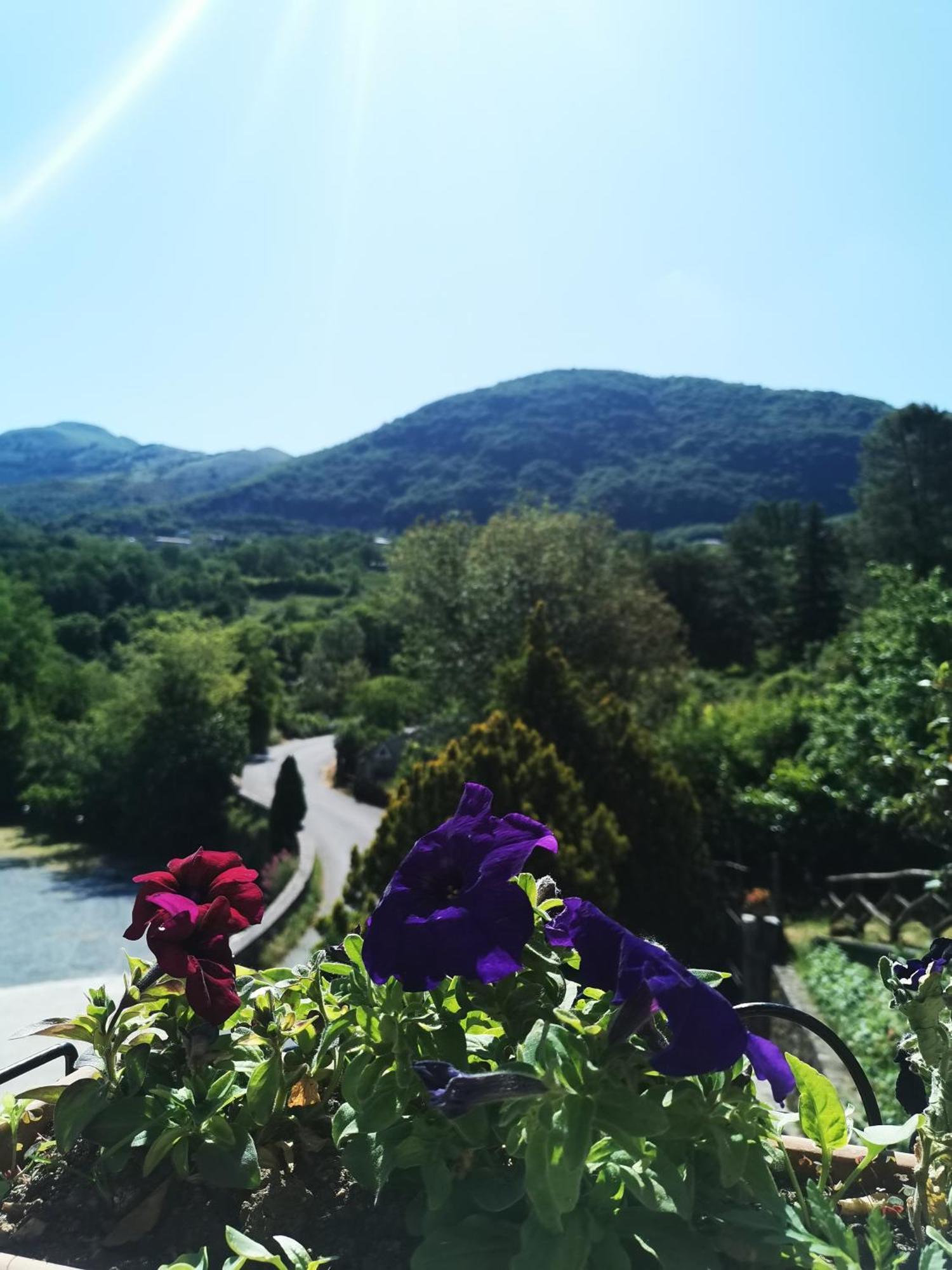 Agriturismo Donna Bianca Mormanno Ngoại thất bức ảnh