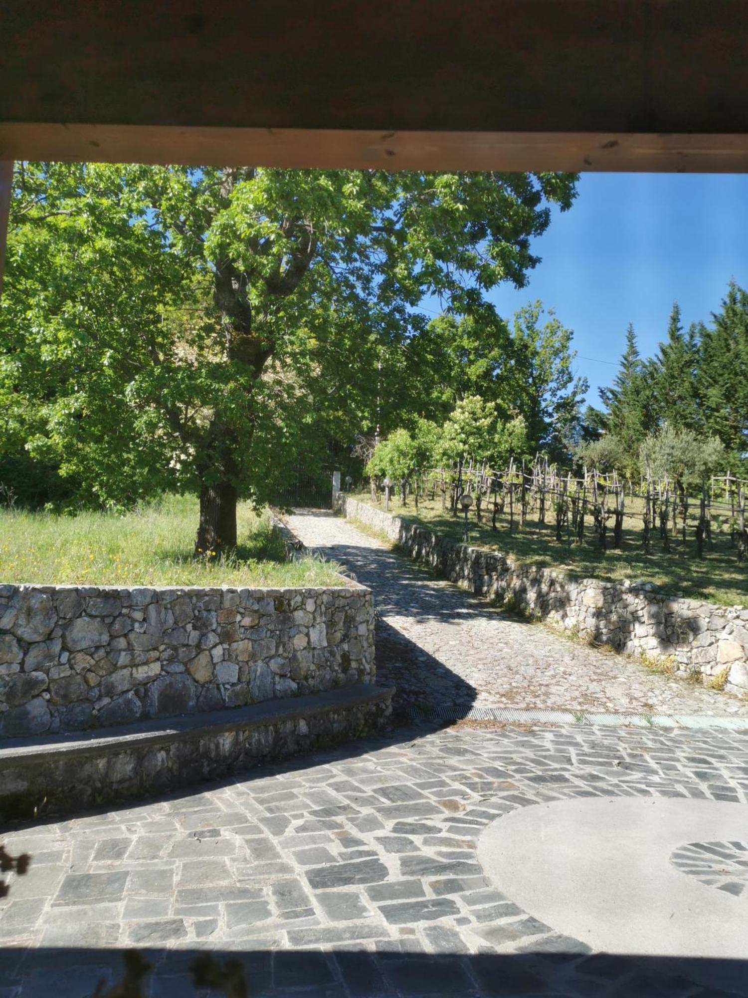Agriturismo Donna Bianca Mormanno Ngoại thất bức ảnh