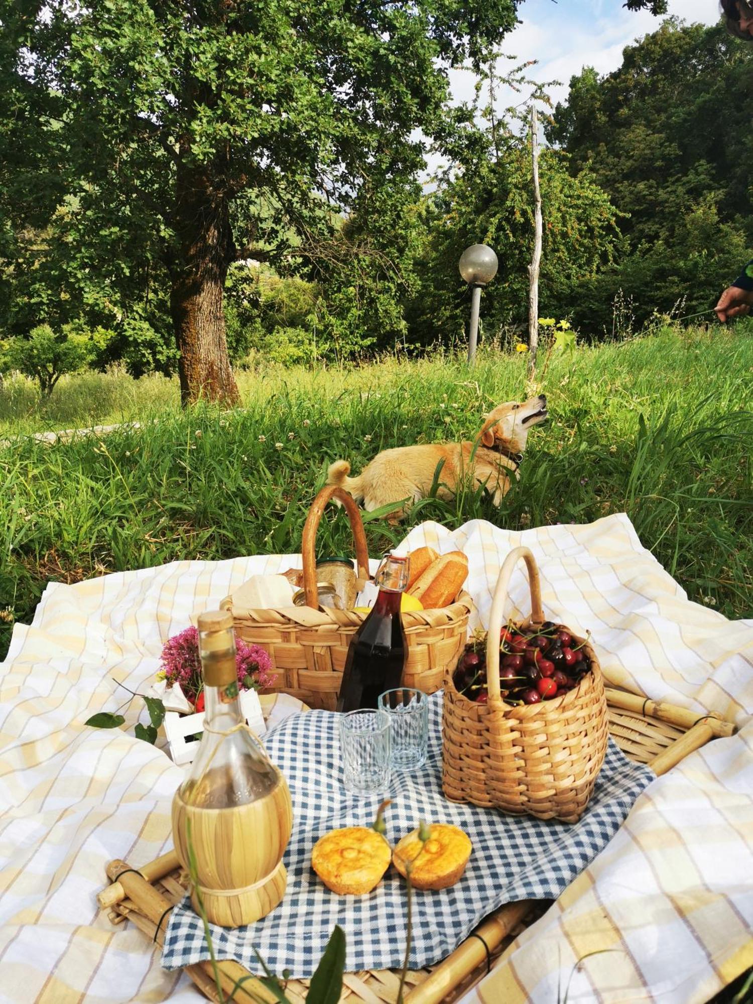 Agriturismo Donna Bianca Mormanno Ngoại thất bức ảnh