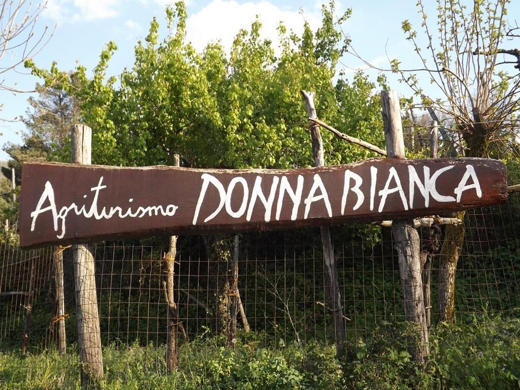 Agriturismo Donna Bianca Mormanno Ngoại thất bức ảnh