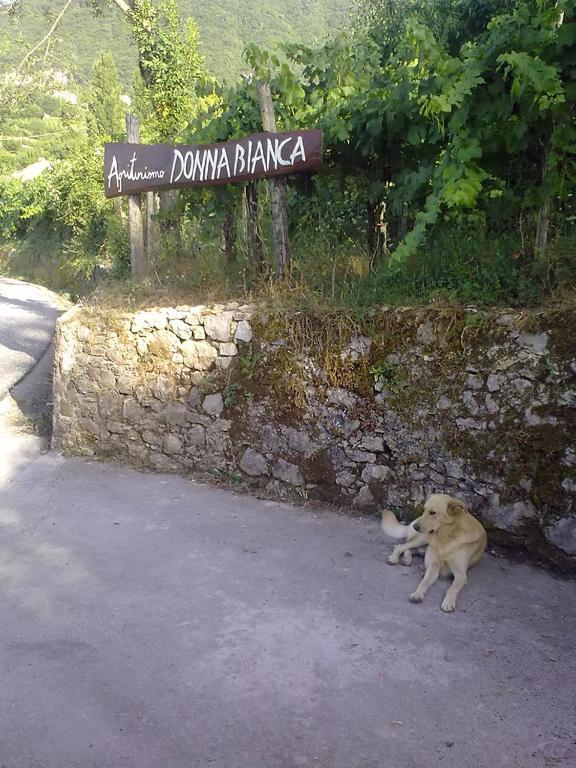 Agriturismo Donna Bianca Mormanno Ngoại thất bức ảnh